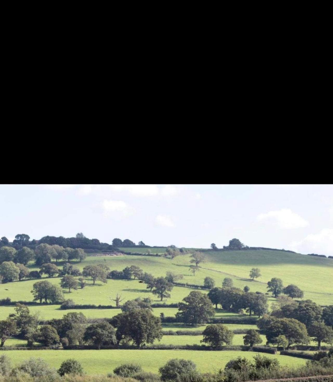 Apartmán Mystique Barn Bristol Exteriér fotografie